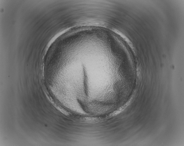 X0000080770933200701021117