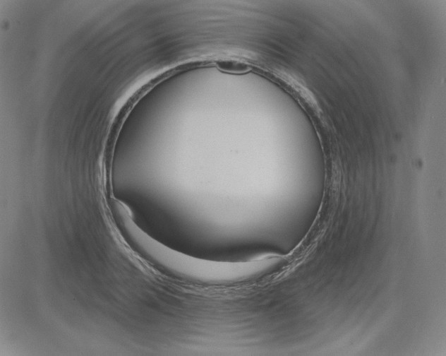 X0000080770936200701021118