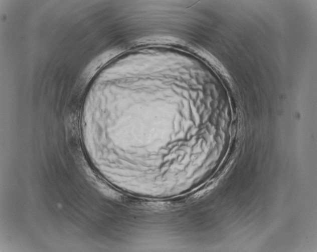 X0000080770937200701021118