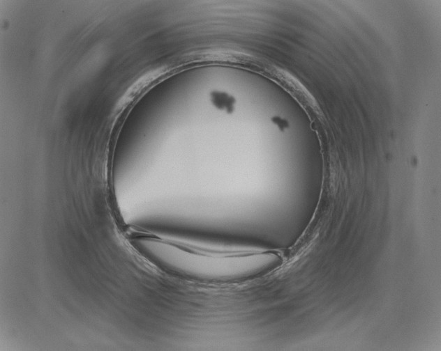 X0000080770938200701021118