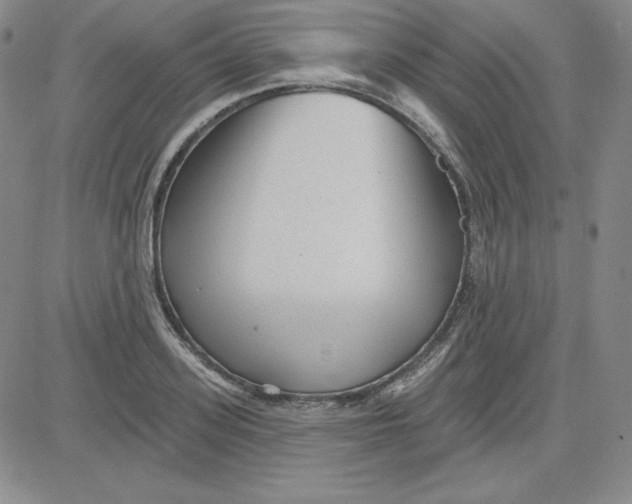 X0000080770939200701021118