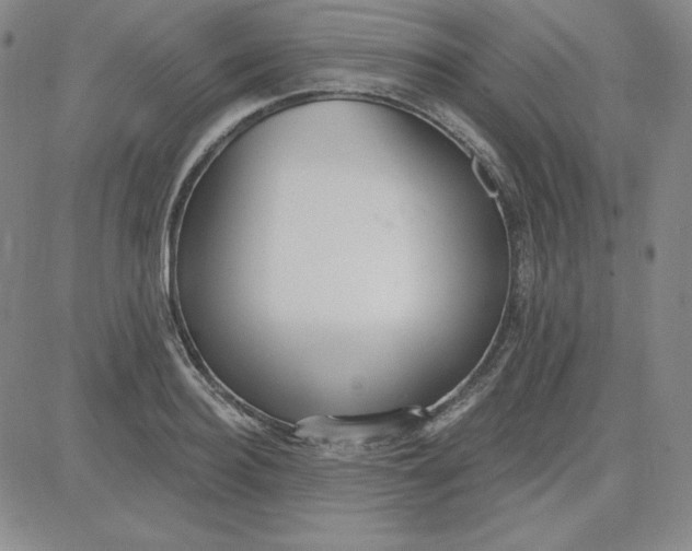 X0000080770940200701021118