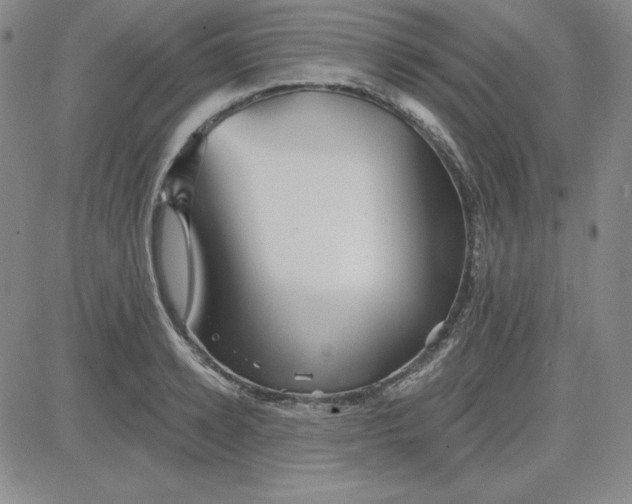 X0000080770942200701021118