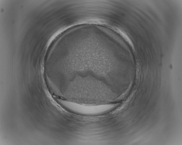 X0000080770944200701021118