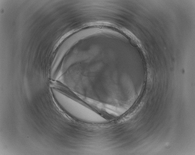 X0000080770945200701021118