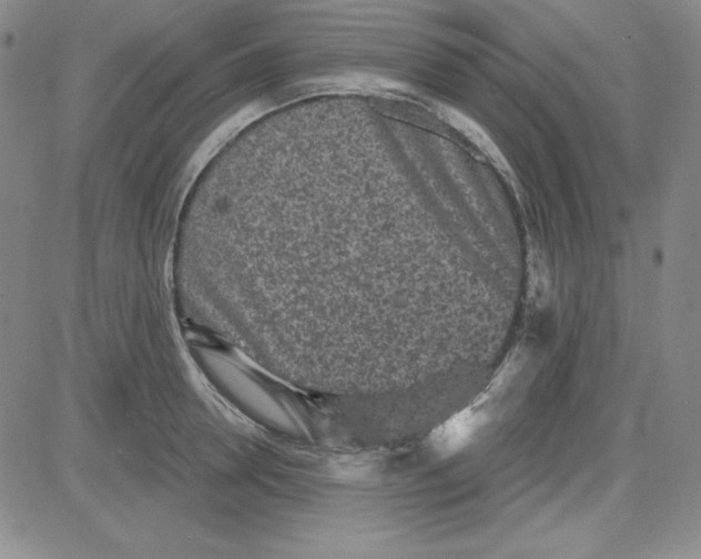 X0000080770946200701021118