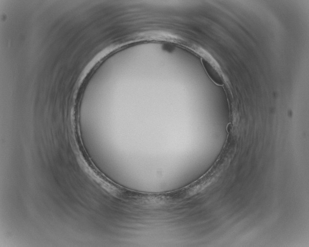 X0000080770947200701021118