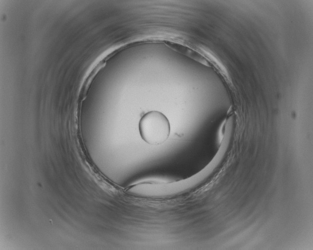 X0000080770948200701021118