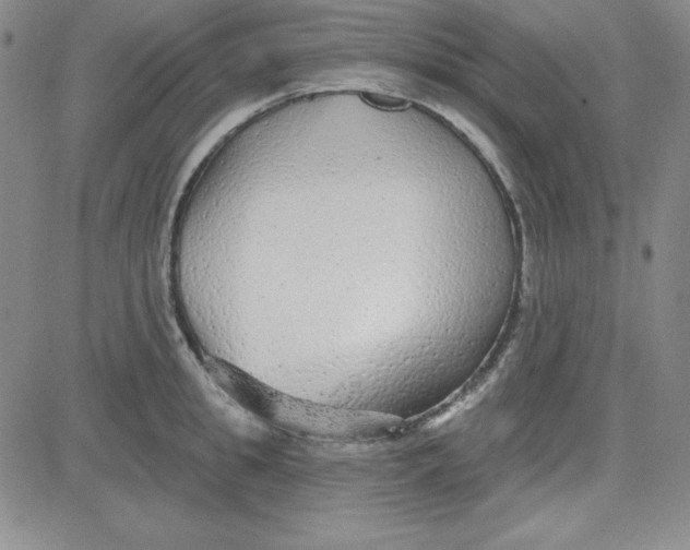 X0000080770949200701021118