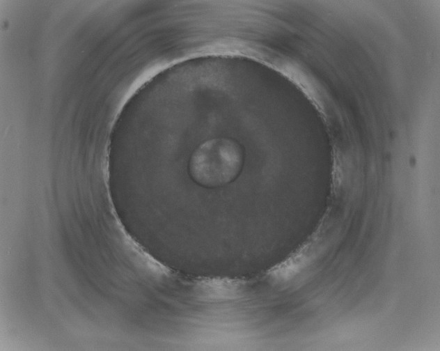 X0000080770950200701021118