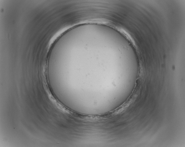 X0000080770952200701021118