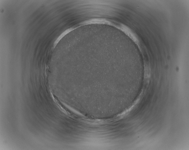 X0000080770953200701021118