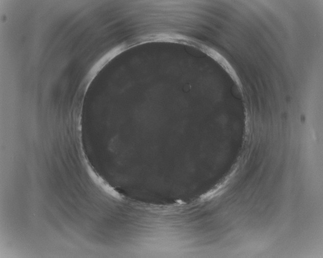 X0000080770954200701021118