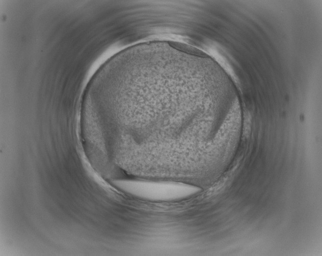 X0000080770955200701021118