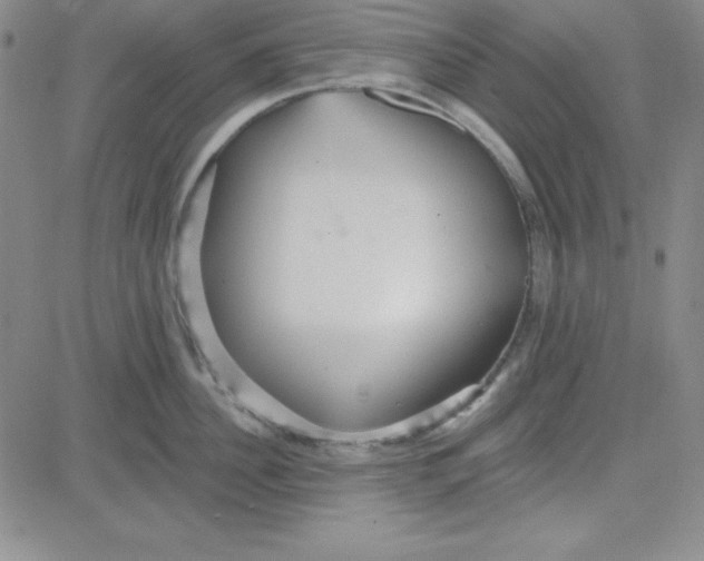 X0000080770956200701021118