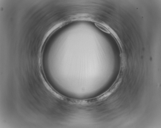 X0000080770957200701021118