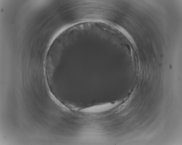 X0000080770958200701021118