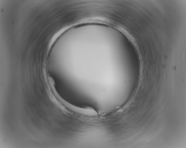 X0000080770960200701021118