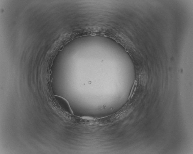 X0000080770961200701021117