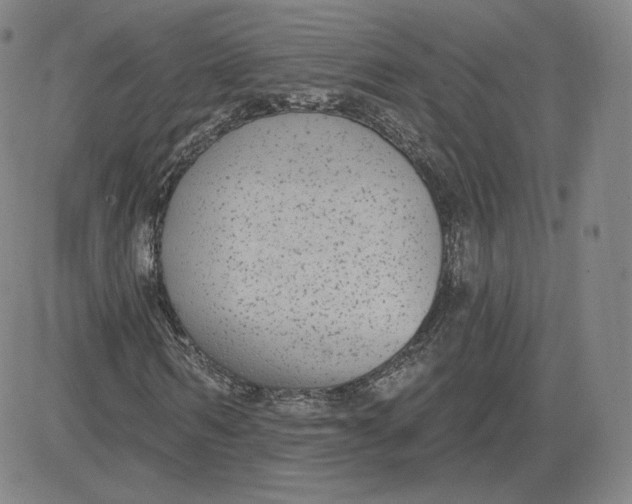 X0000080770962200701021117