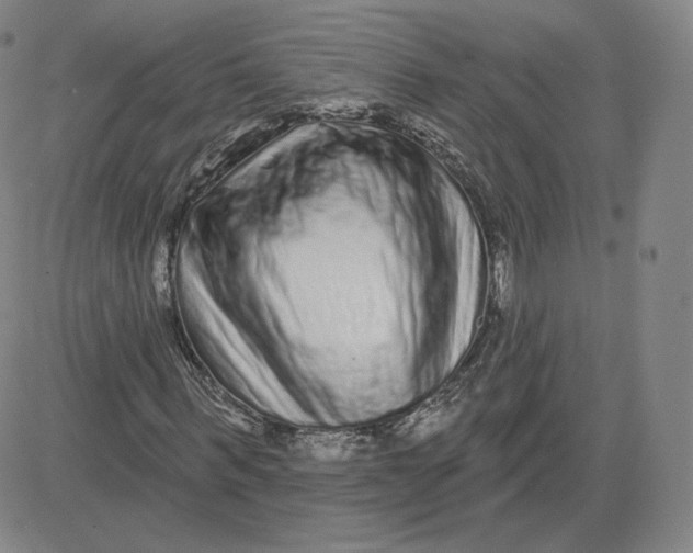 X0000080770963200701021117