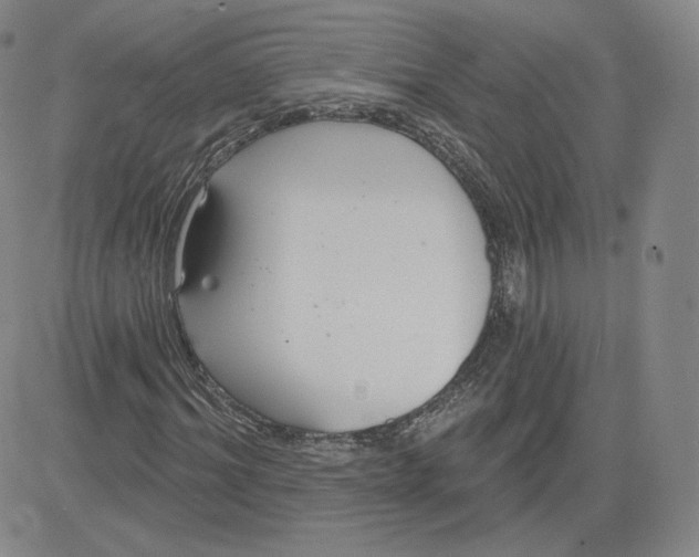 X0000080770964200701021117