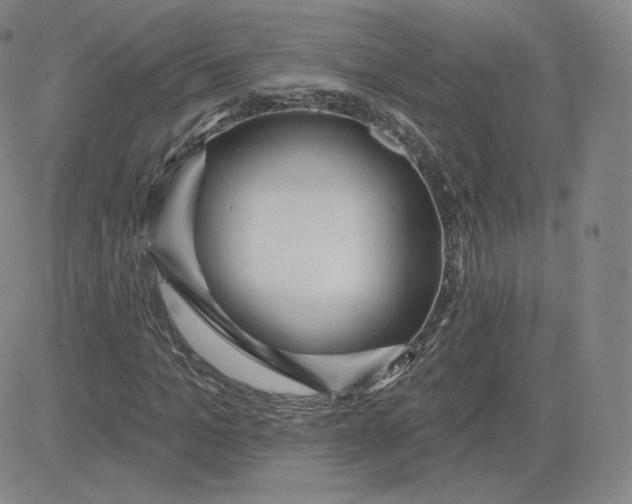 X0000080770965200701021117