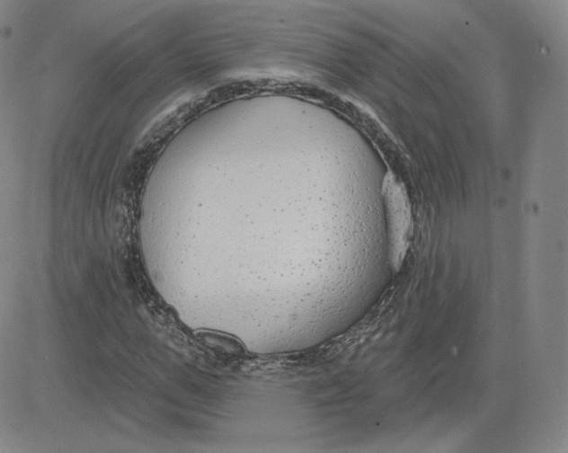 X0000080770967200701021117