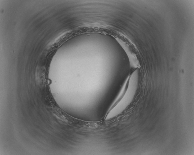 X0000080770968200701021117