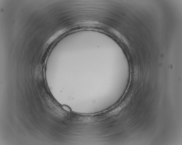 X0000080770970200701021117