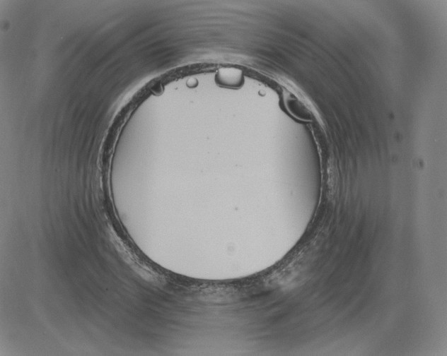 X0000080770972200701021117