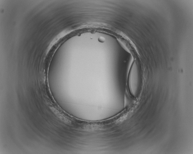 X0000080770973200701021117