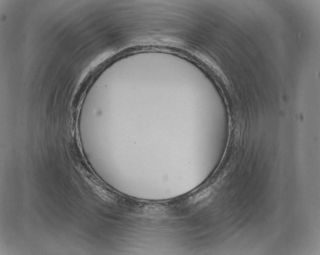 X0000080770974200701021117