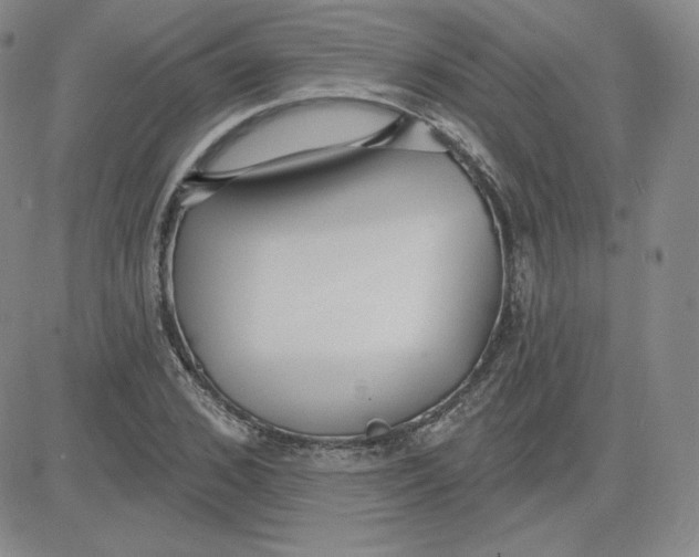 X0000080770976200701021117