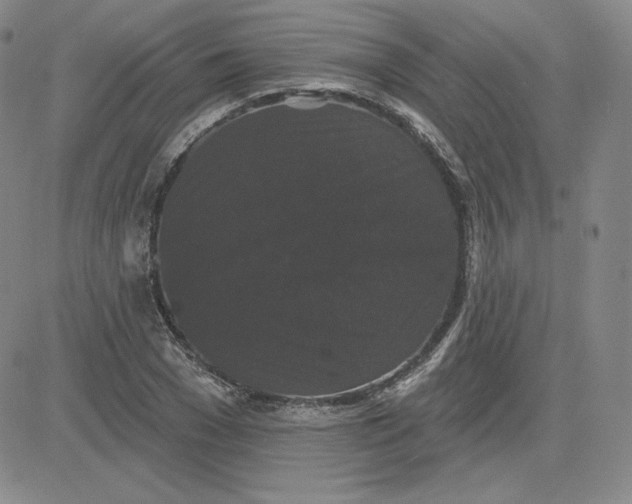 X0000080770977200701021117