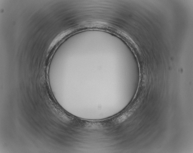 X0000080770978200701021117