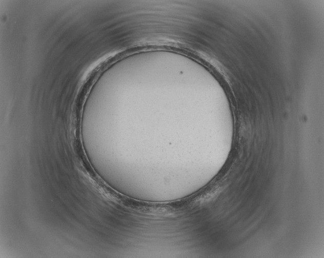 X0000080770979200701021117