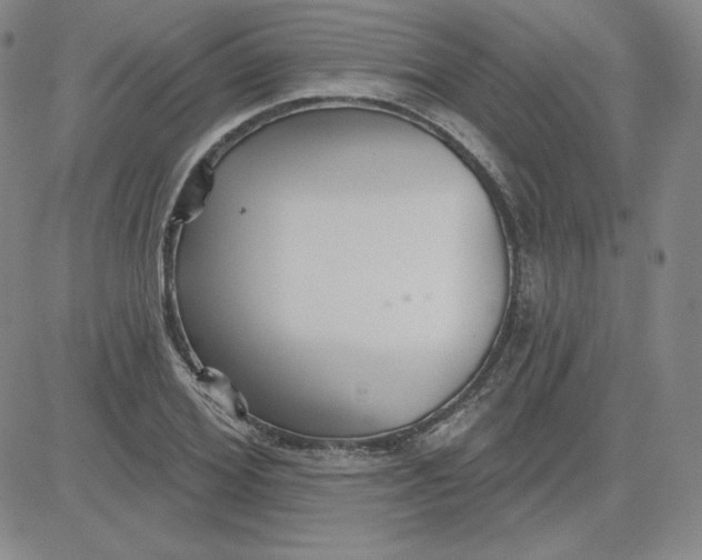 X0000080770980200701021117