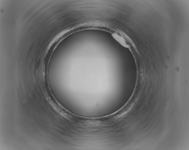 X0000080770981200701021117