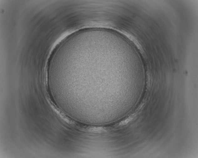 X0000080770982200701021117