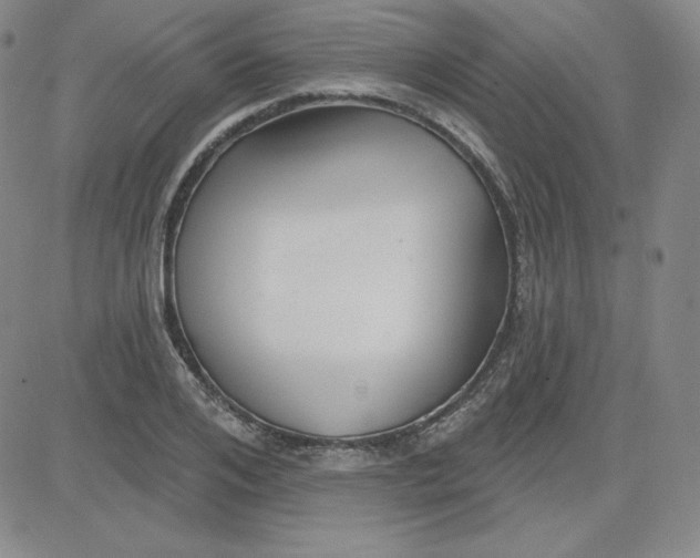 X0000080770984200701021117