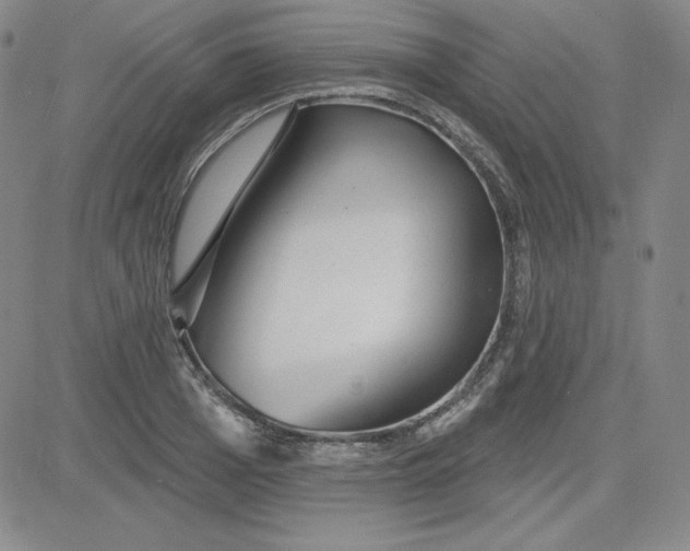 X0000080770985200701021117