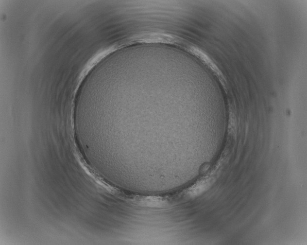 X0000080770986200701021117