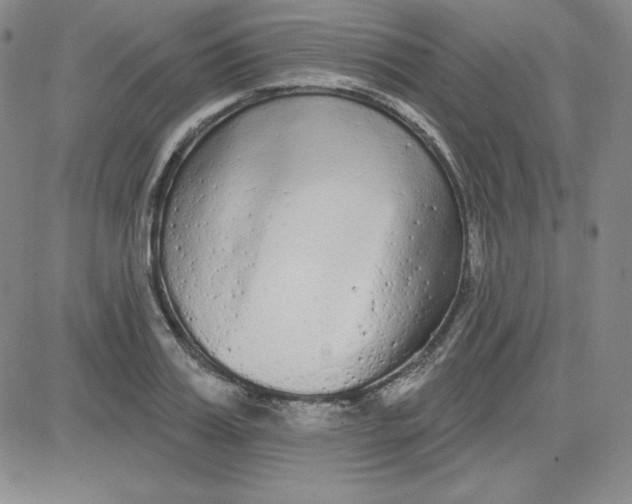 X0000080770987200701021117