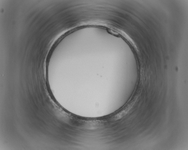 X0000080770988200701021117