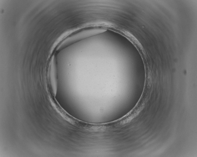 X0000080770989200701021117