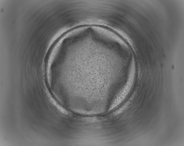 X0000080770990200701021117