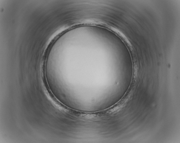 X0000080770991200701021117