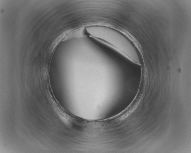 X0000080770993200701021117