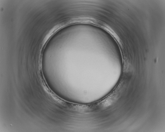 X0000080770994200701021117